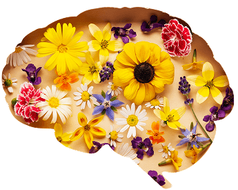 brain with flowers